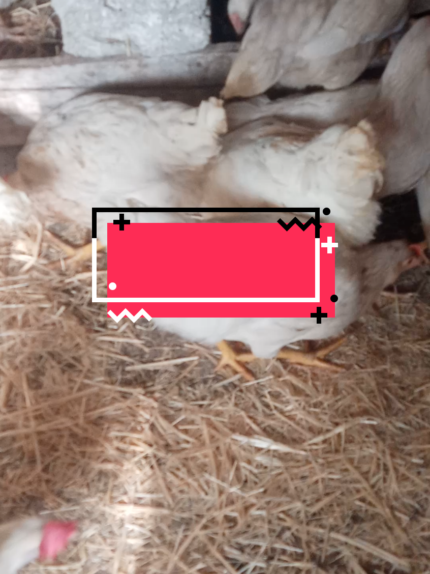 @nefretimsin dünya