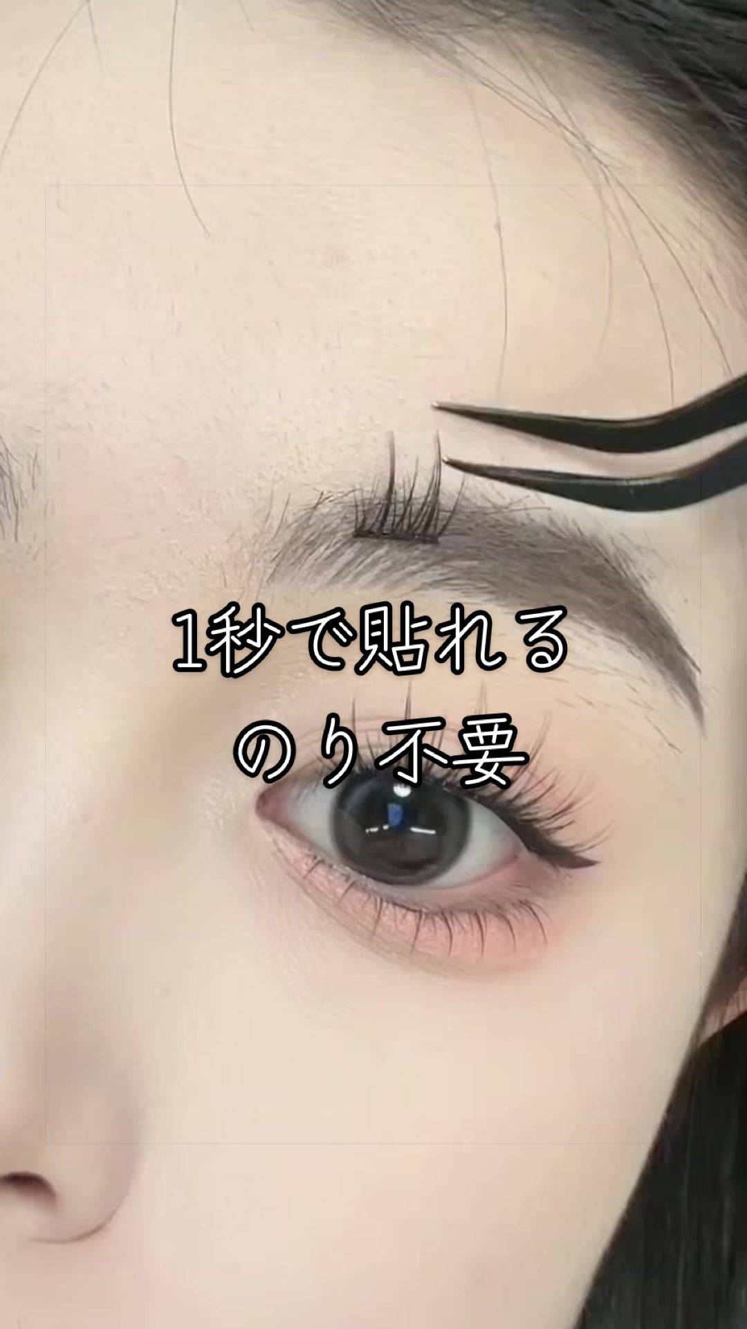 @愛子ちゃんの日常