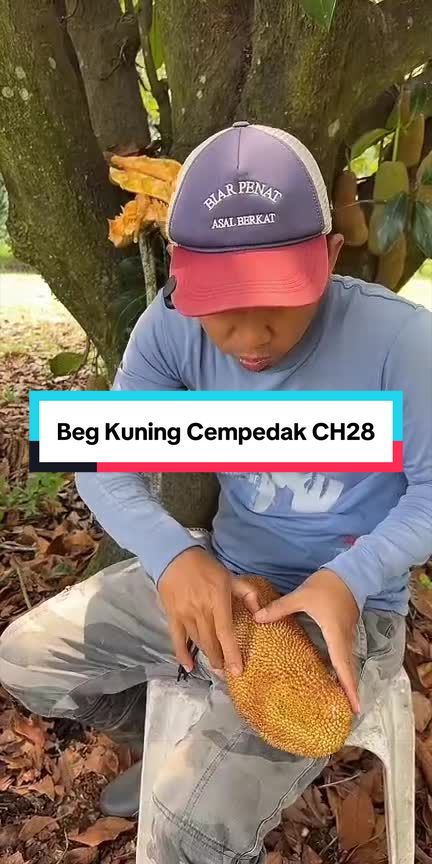 @Dusun Cikgu Mail