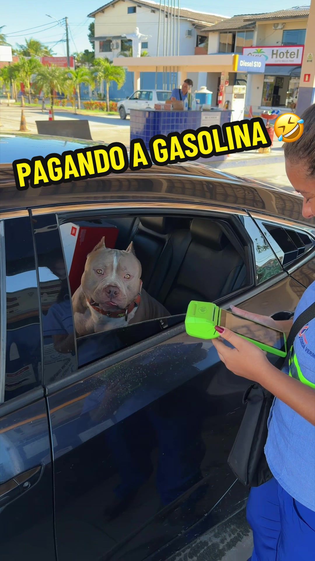 @Família Ragnar 🐶