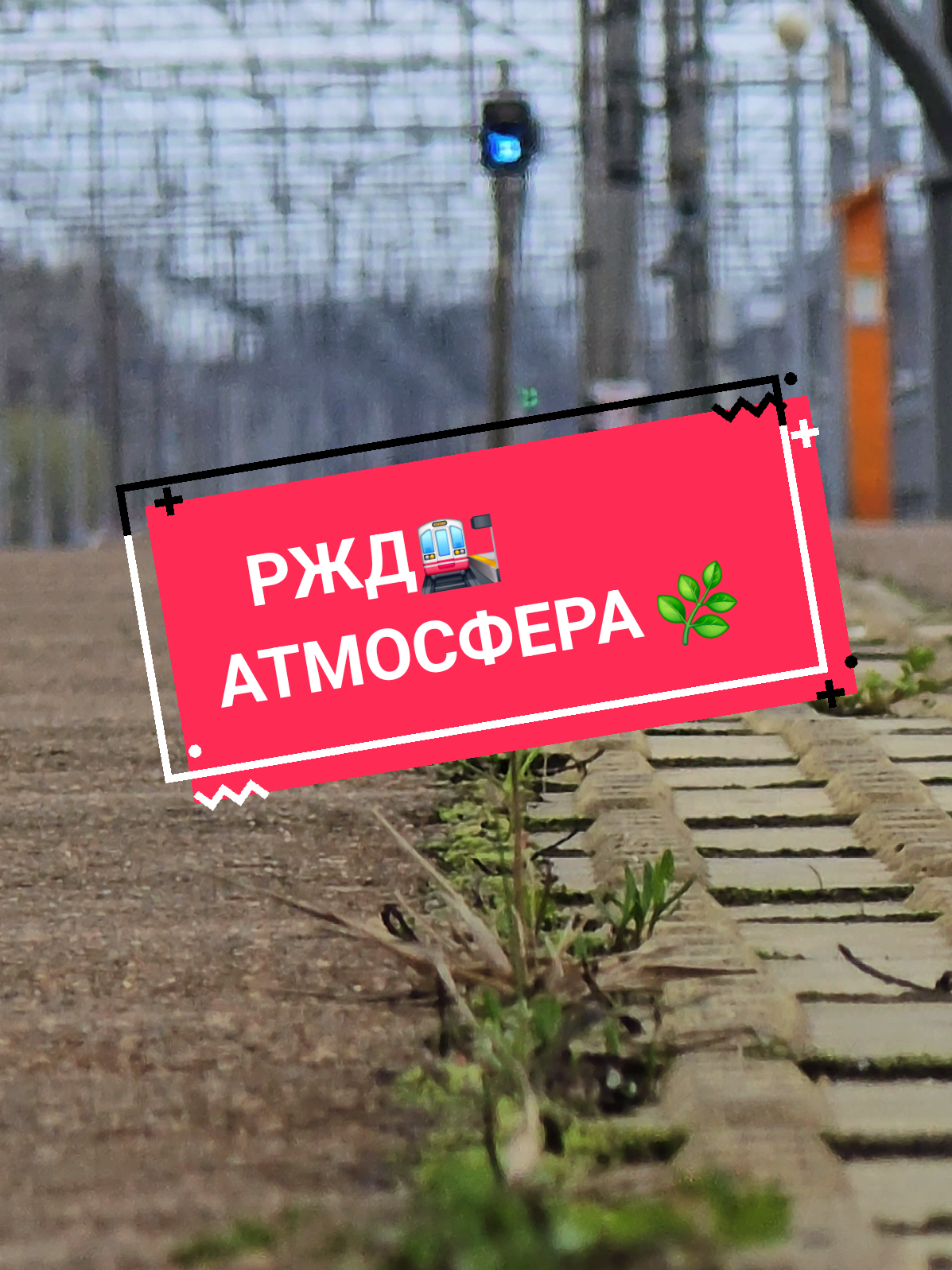 @Дмитрий Шейкин