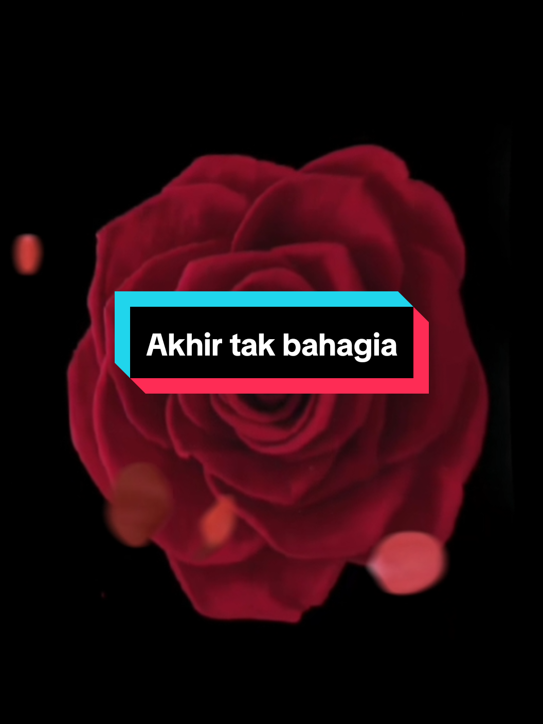 @๐๐๐ ๐๐ข๐ค๐๐ฒโ