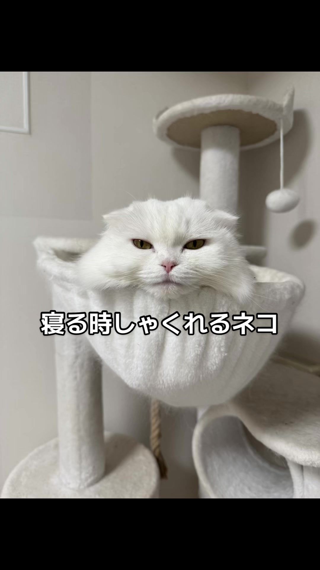 @もっちぬ