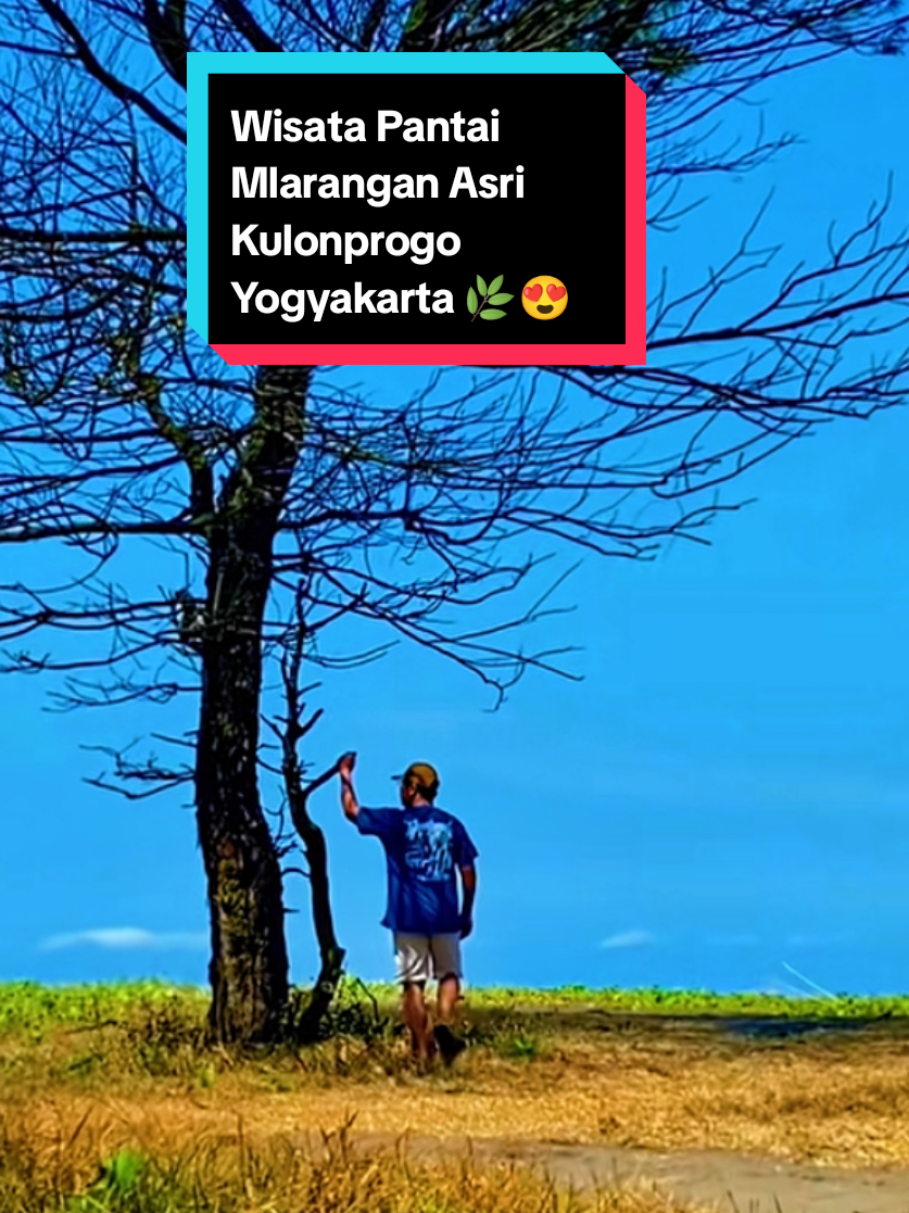 @mlampah2_57