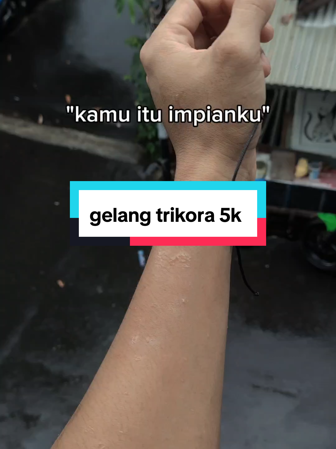 @Hamstore 🛒
