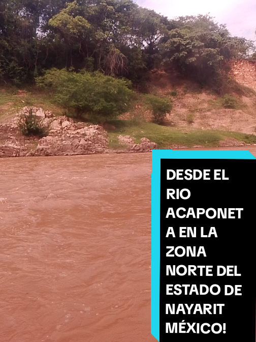 @Eliseo López