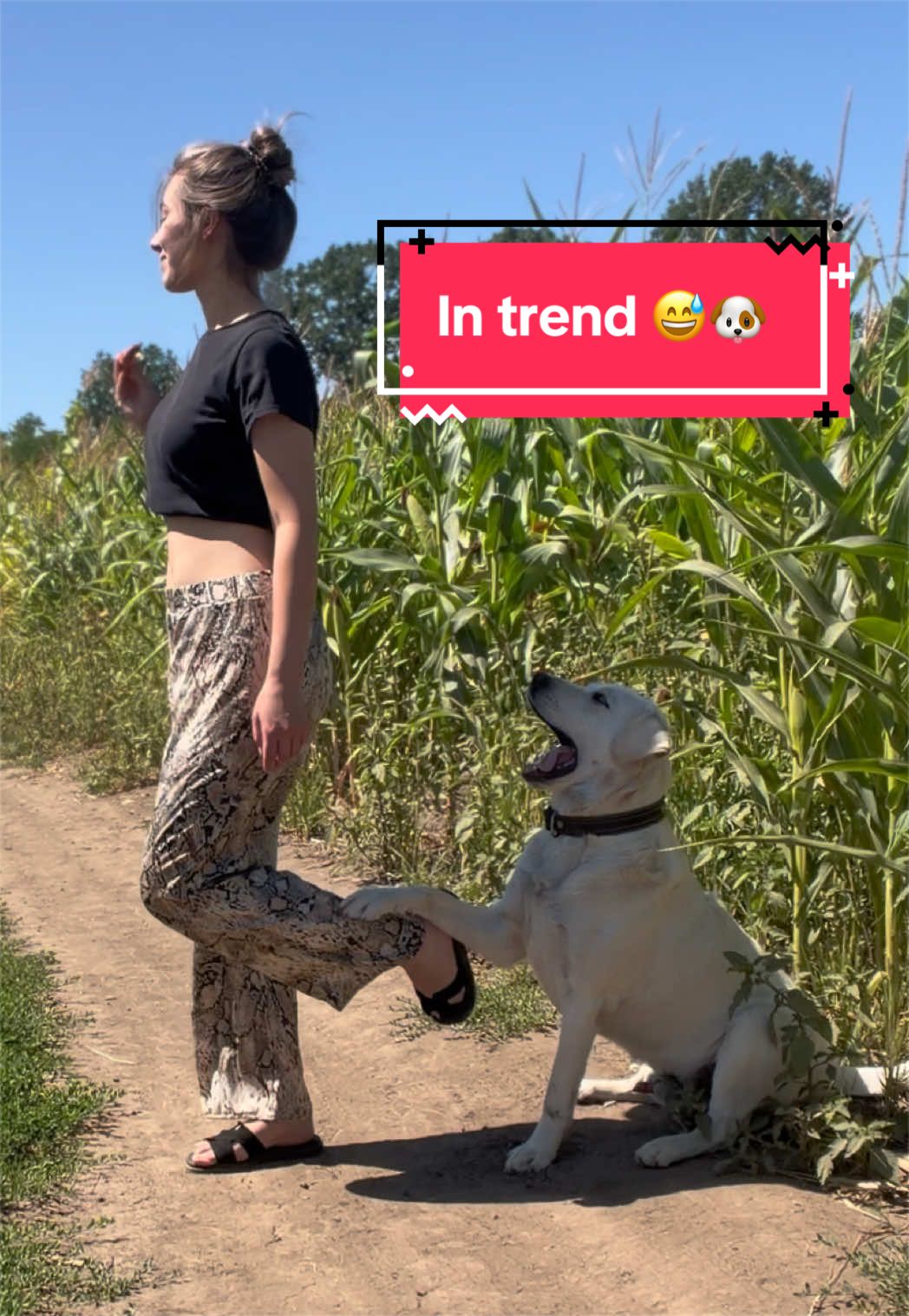@Larisa🐾Taison