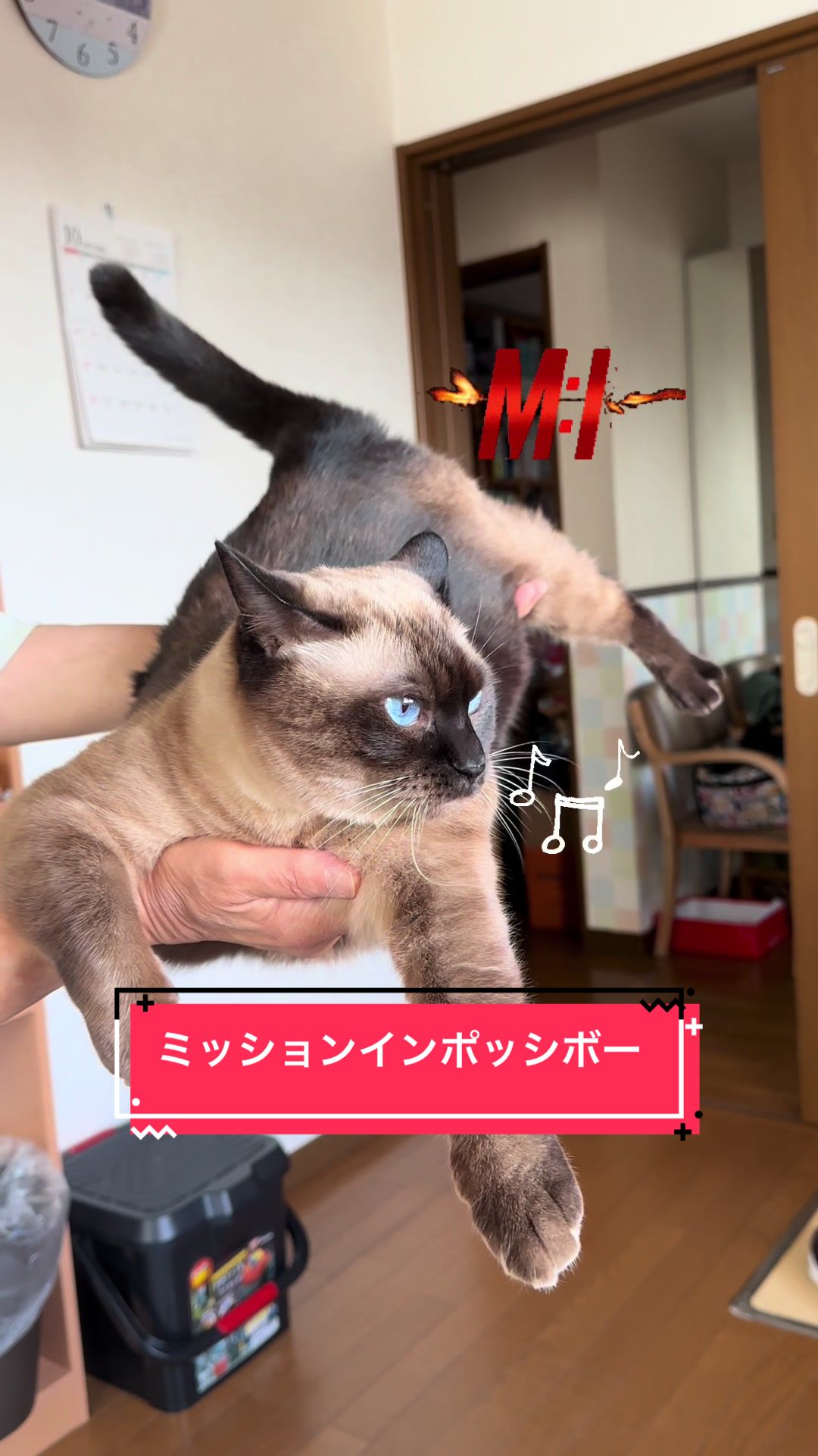 @うちのコレンジャー