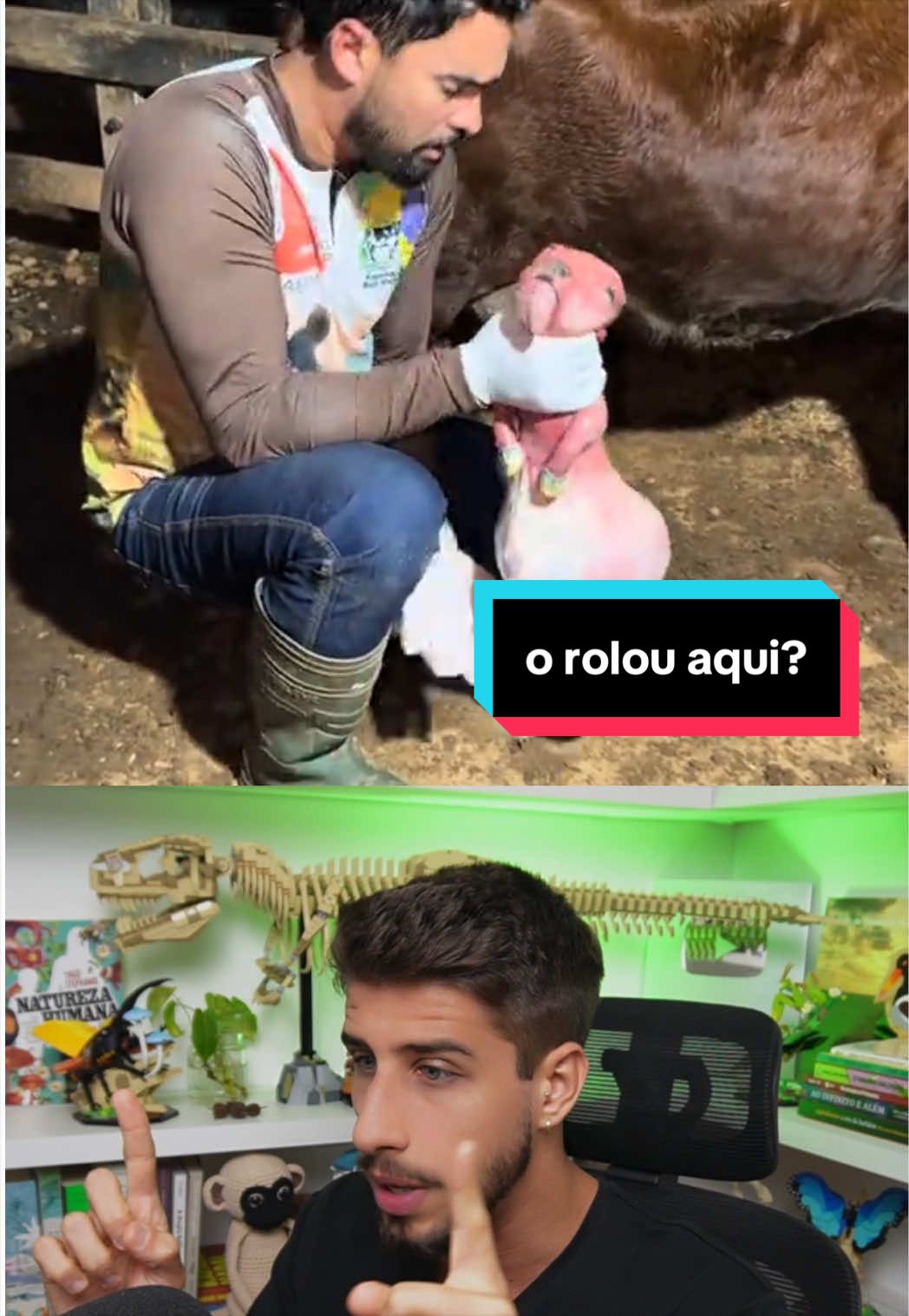 @Yago Stephano