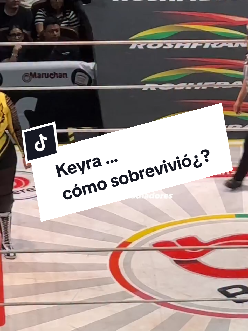 @Damas&Gladiadores Lucha Libre