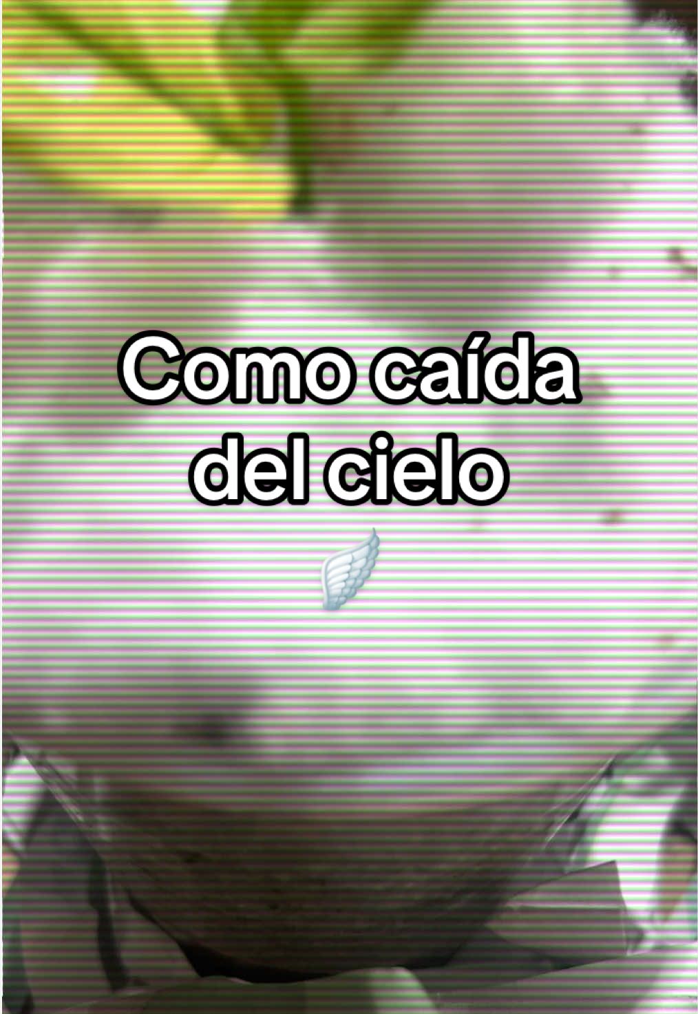 @cultivandoando