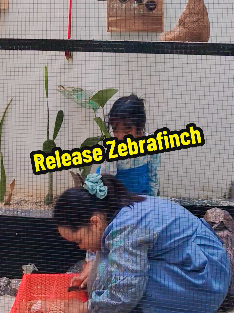 @Zam Ch's Official