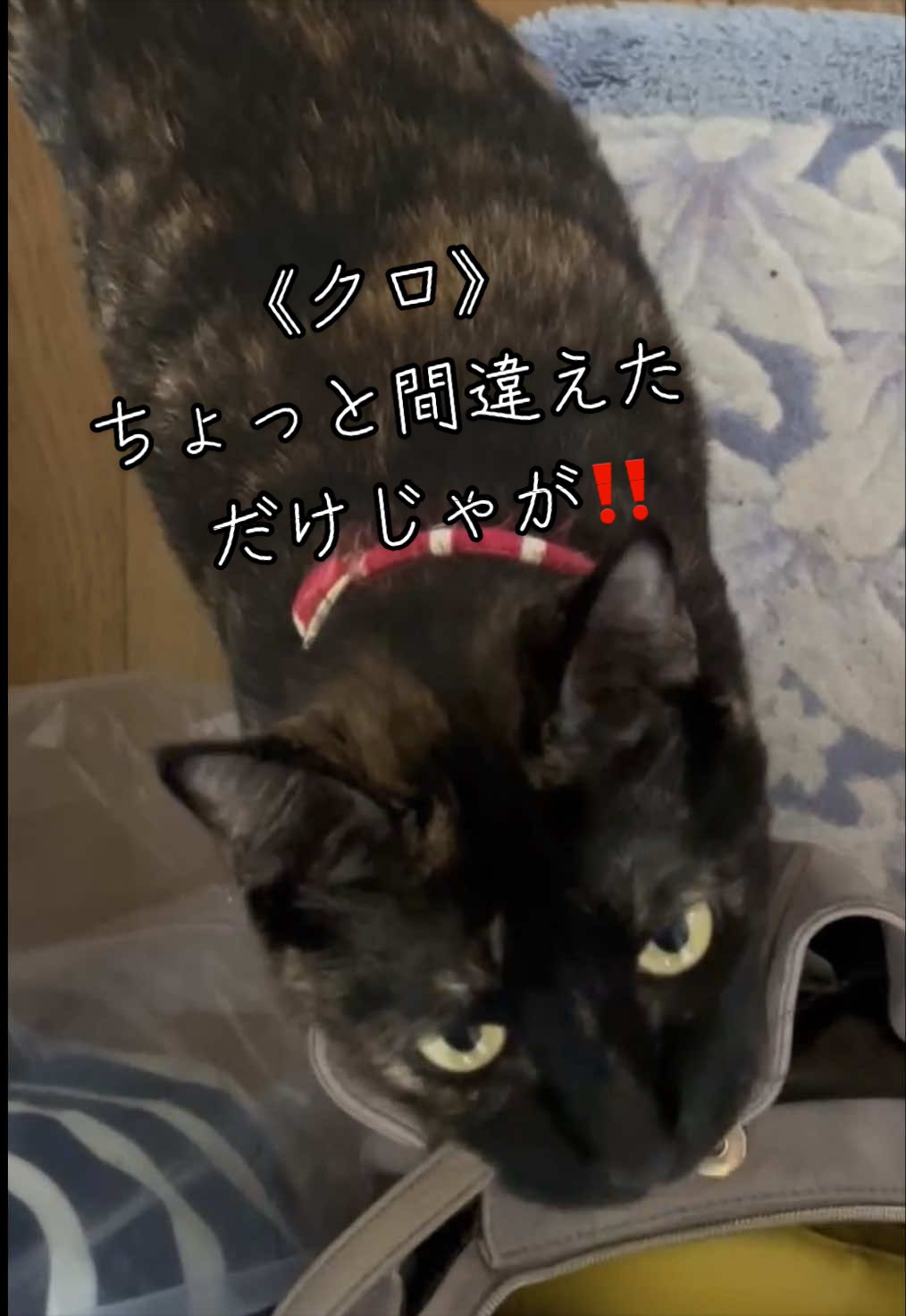 @聴々物語PROJECT