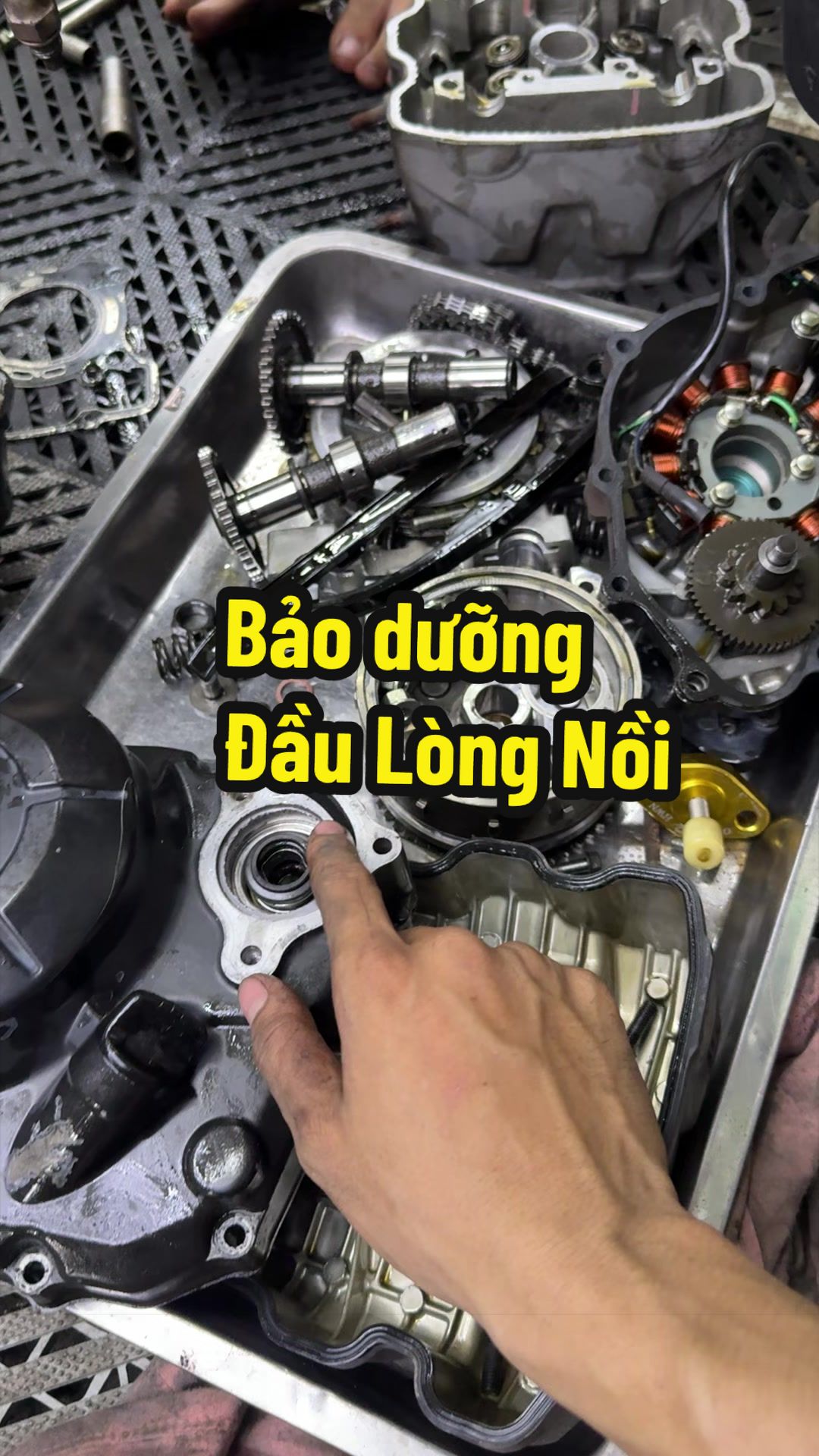 @Đạt Là 🇻🇳