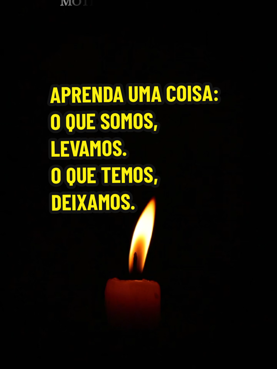 @Silvia Helena.