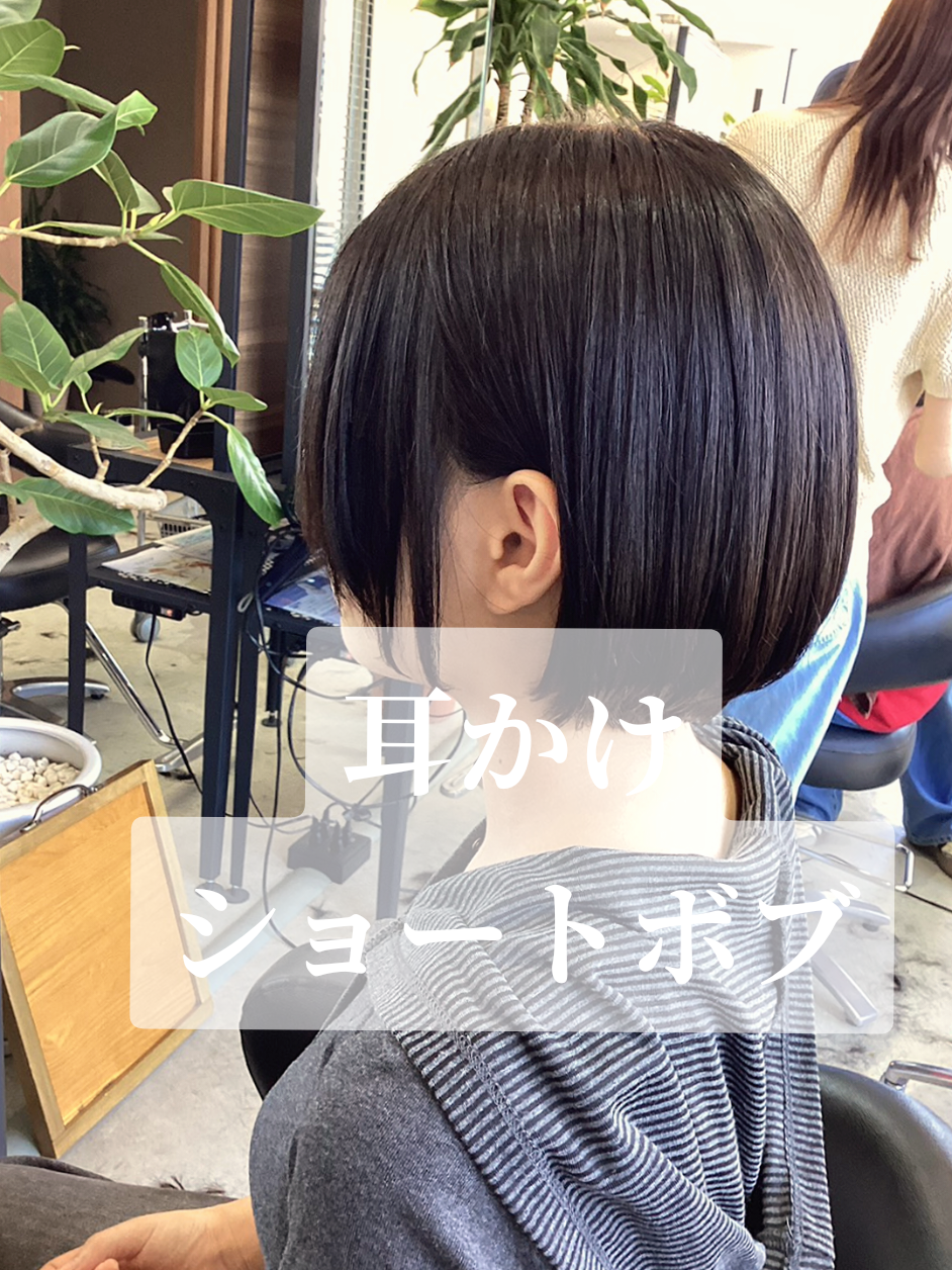 @アップデート