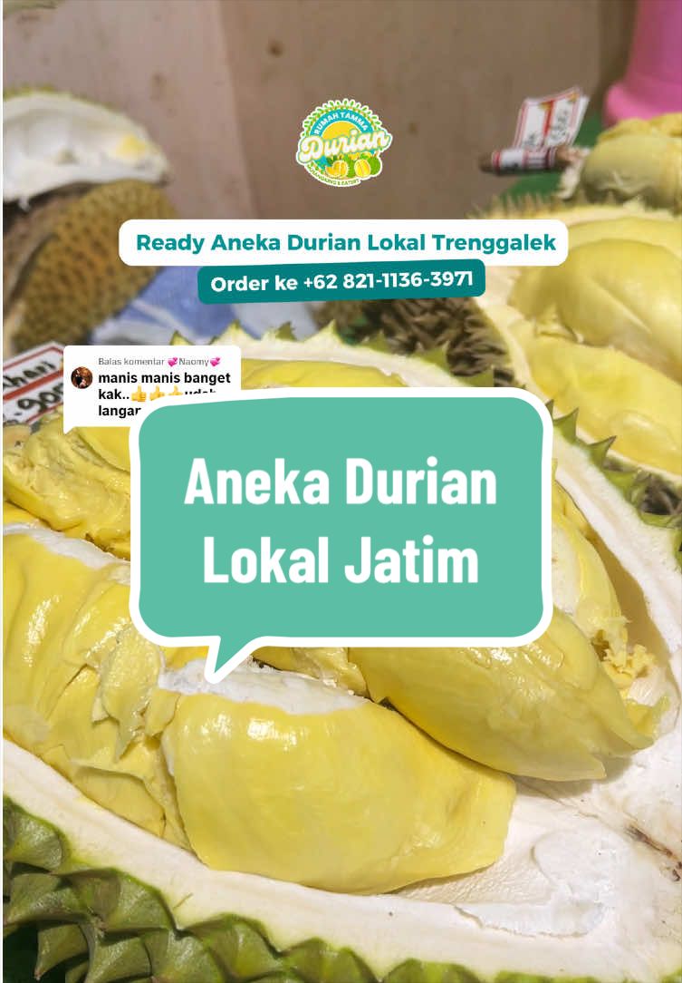 @Rumah Tamma Durian