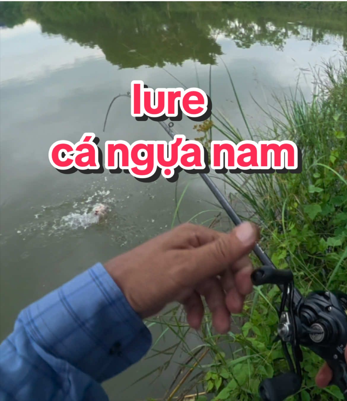 @nhà quê_1985