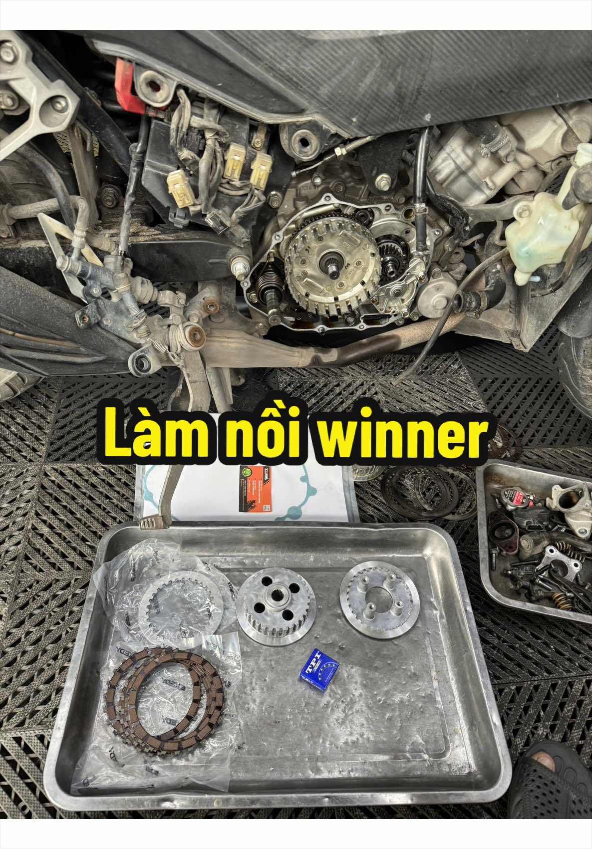 @Đạt L&agrave; 🇻🇳