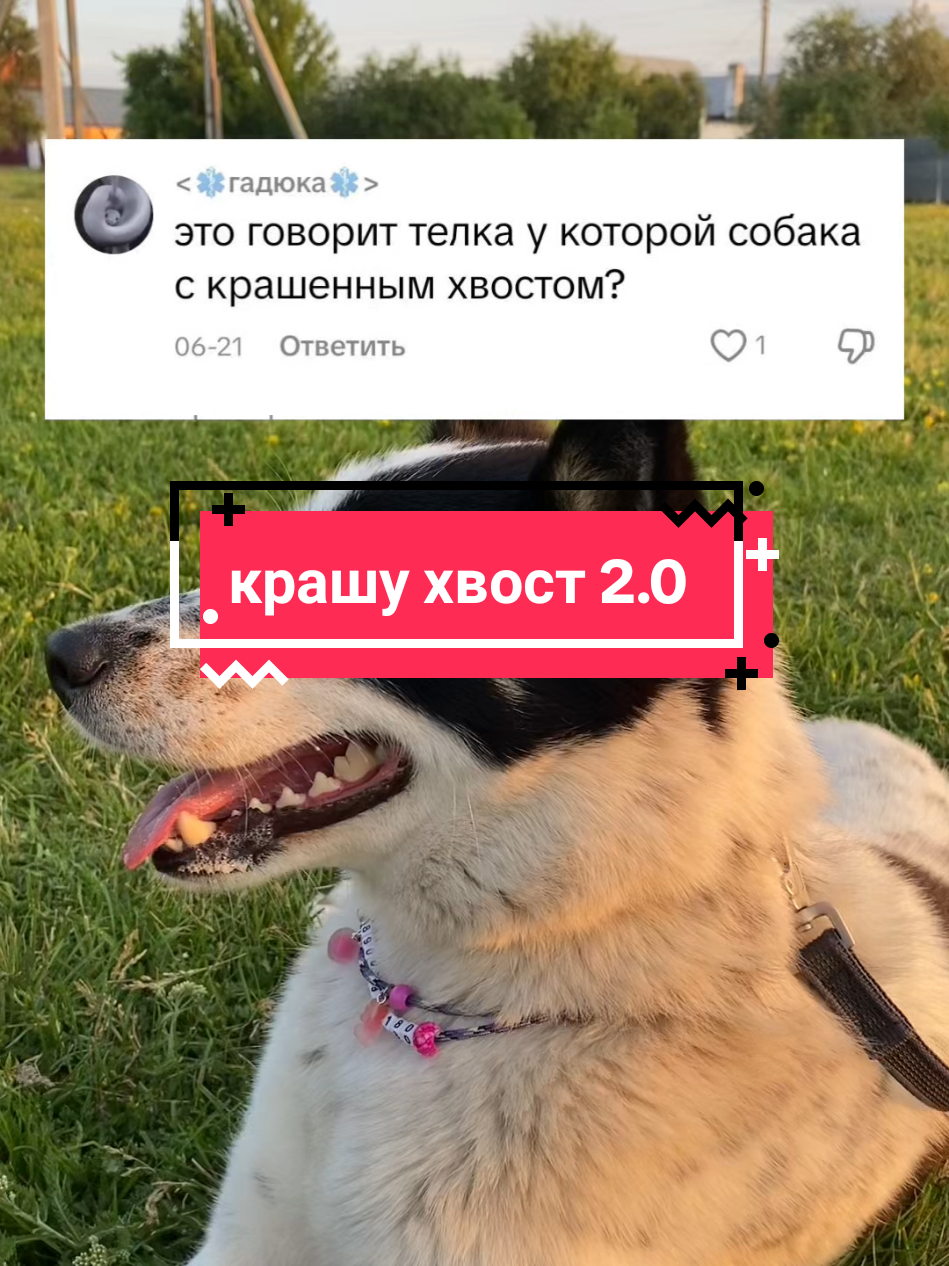 @Калыван