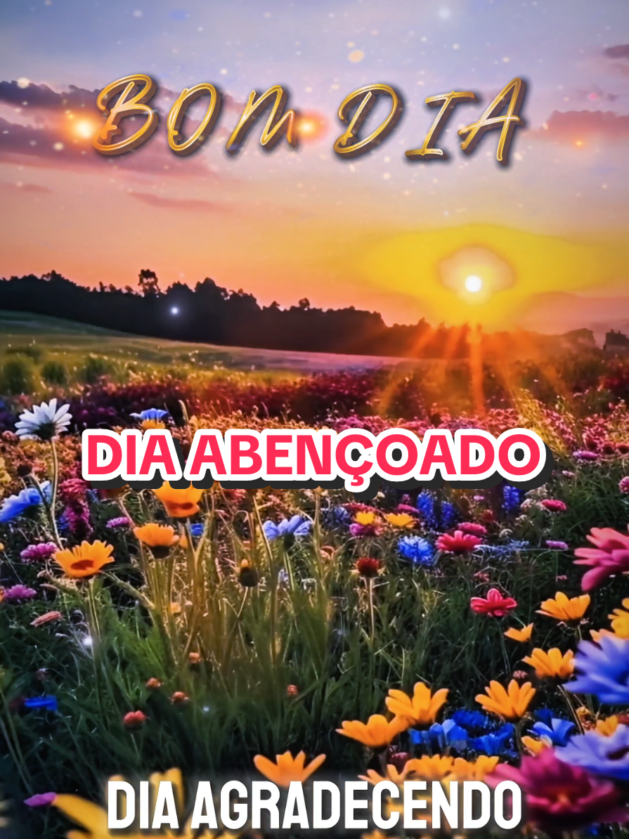 @César A. A. Santos