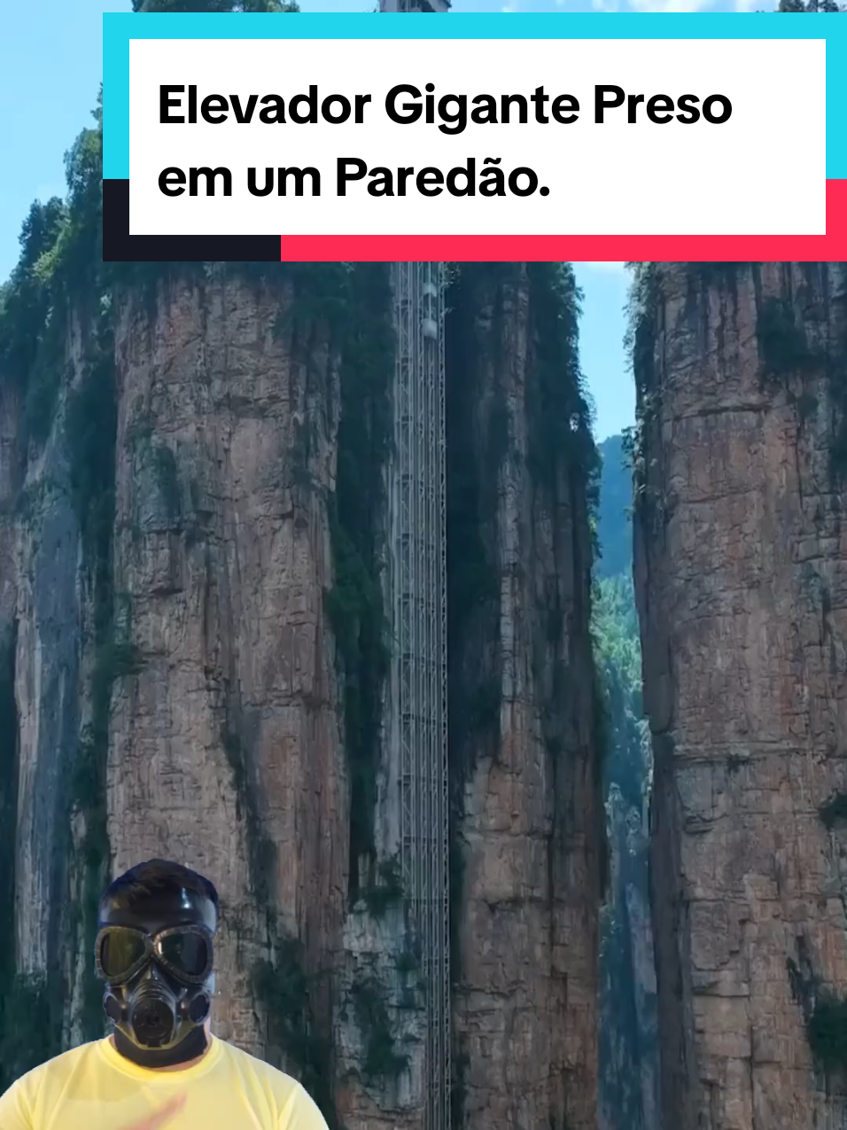 @Mundo da Curiosidades