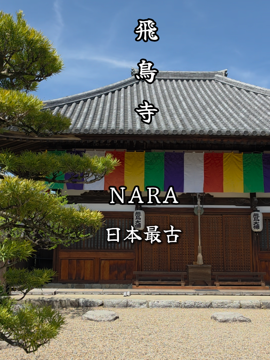 @星来⭐️セイ