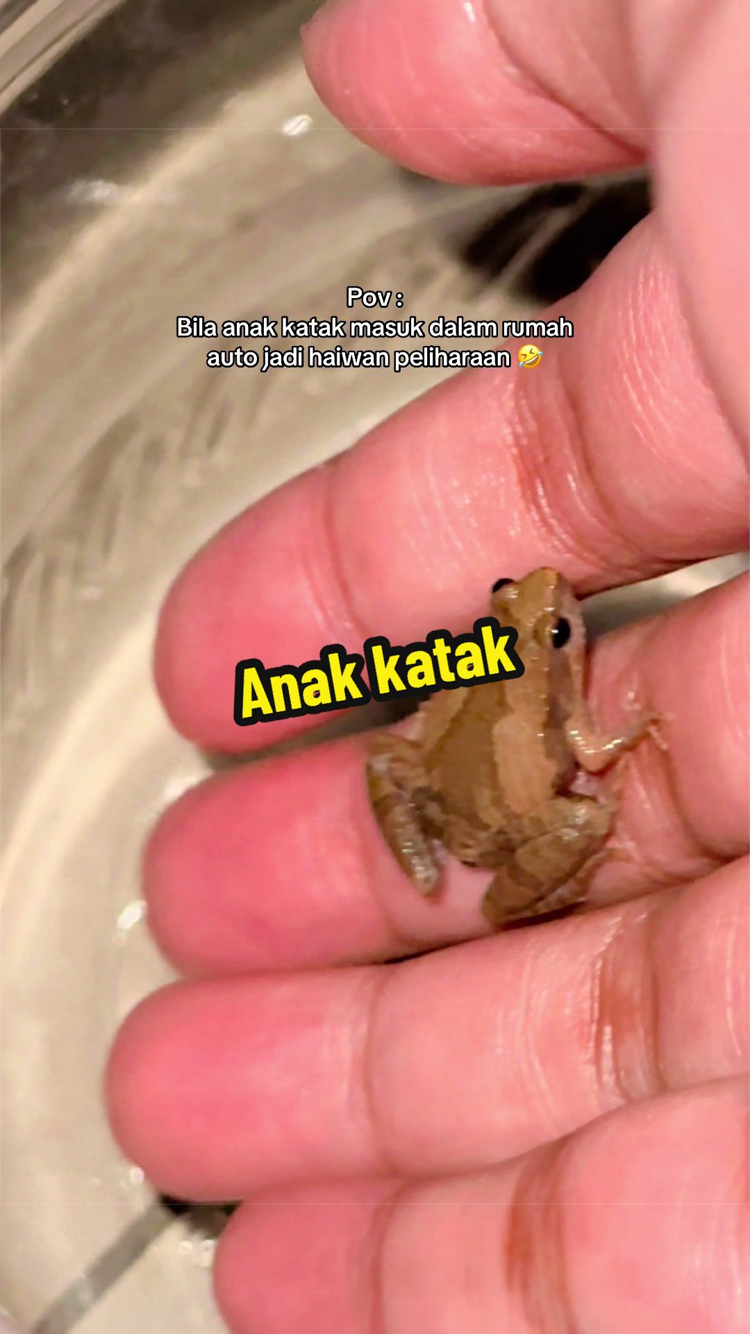 @𝐓𝐄𝐄𝐊𝐀𝐇