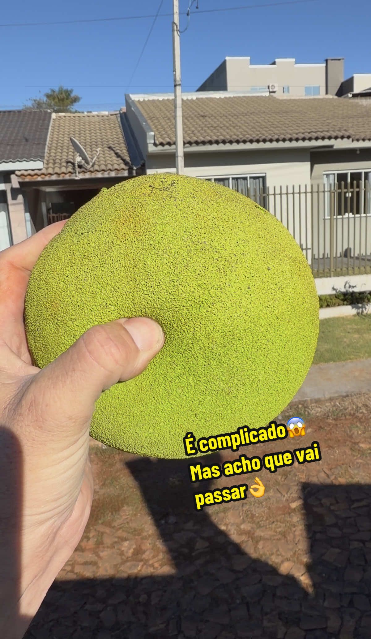 @M&aacute;rcio Staine(polaco)