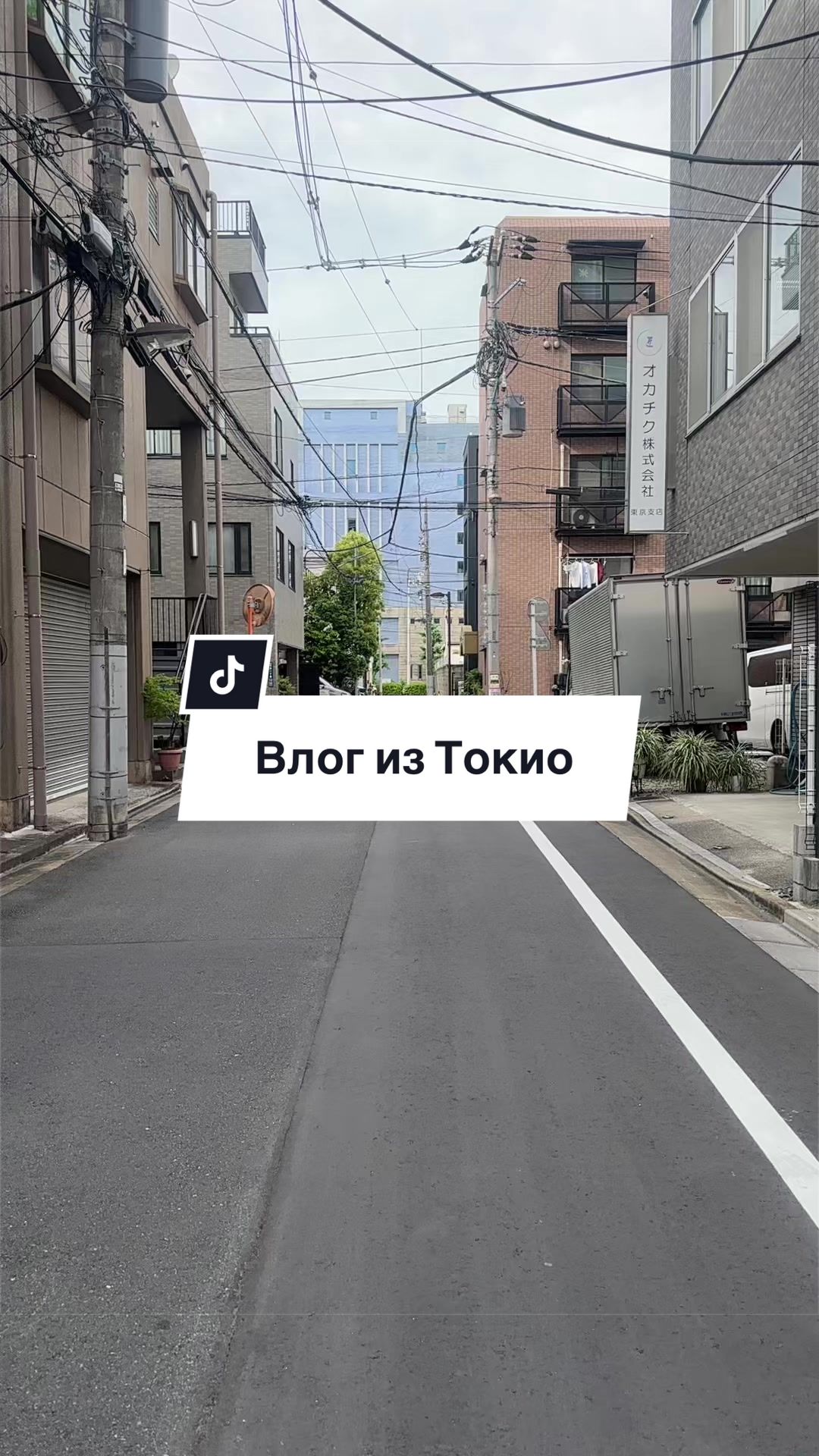 @зефирка