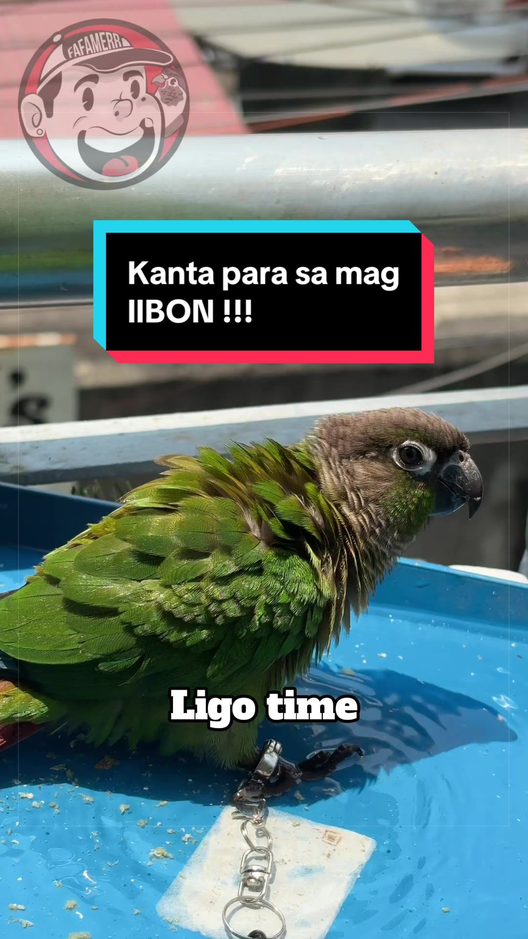 @FAFAMERR