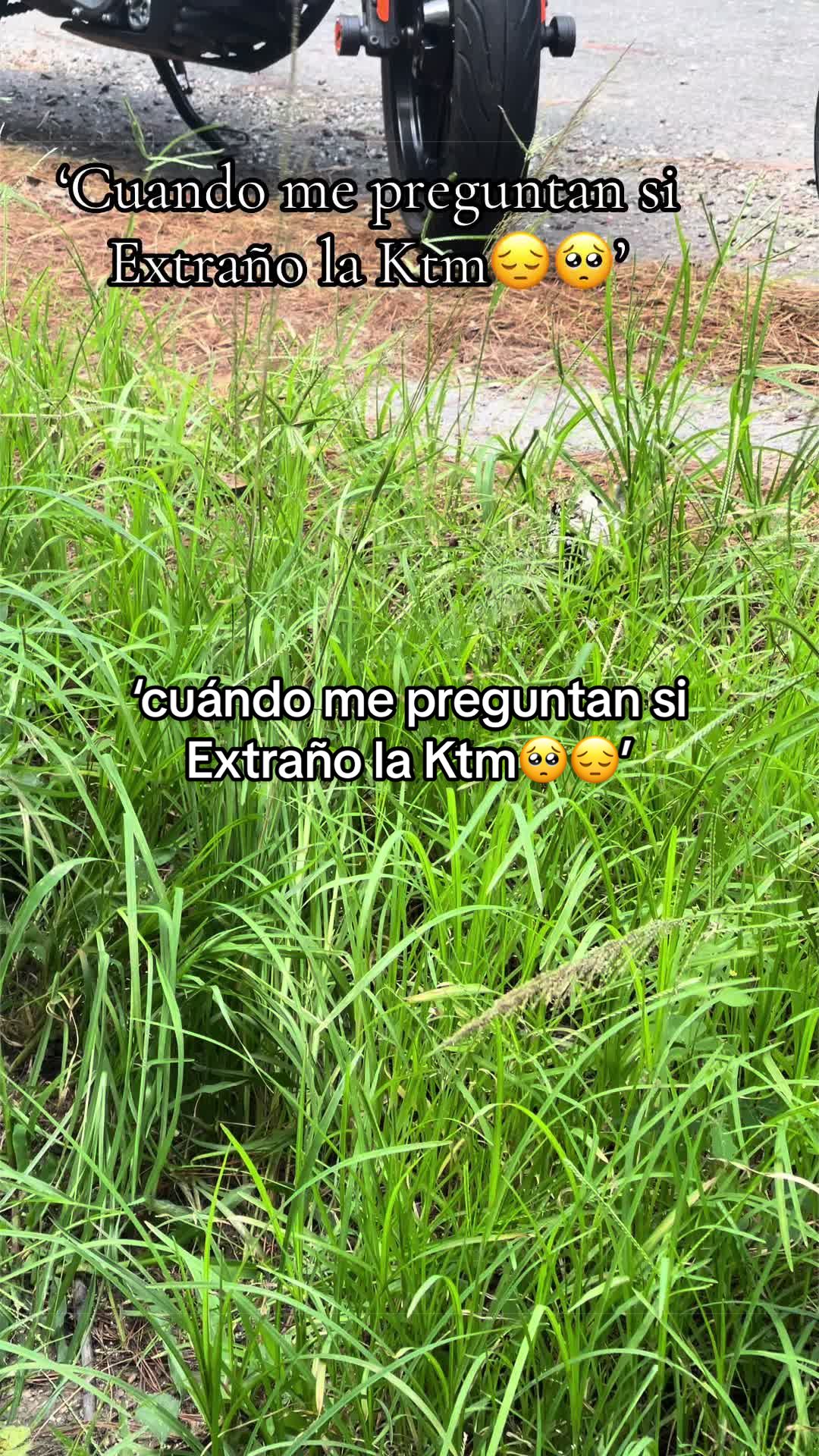 @"_EDWIN ENAMORADO_"🥷🏽🐌😏