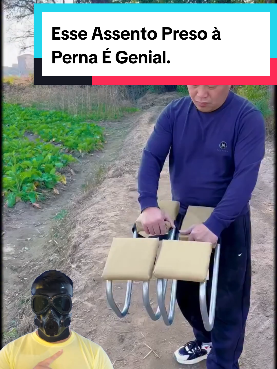 @Mundo da Curiosidades