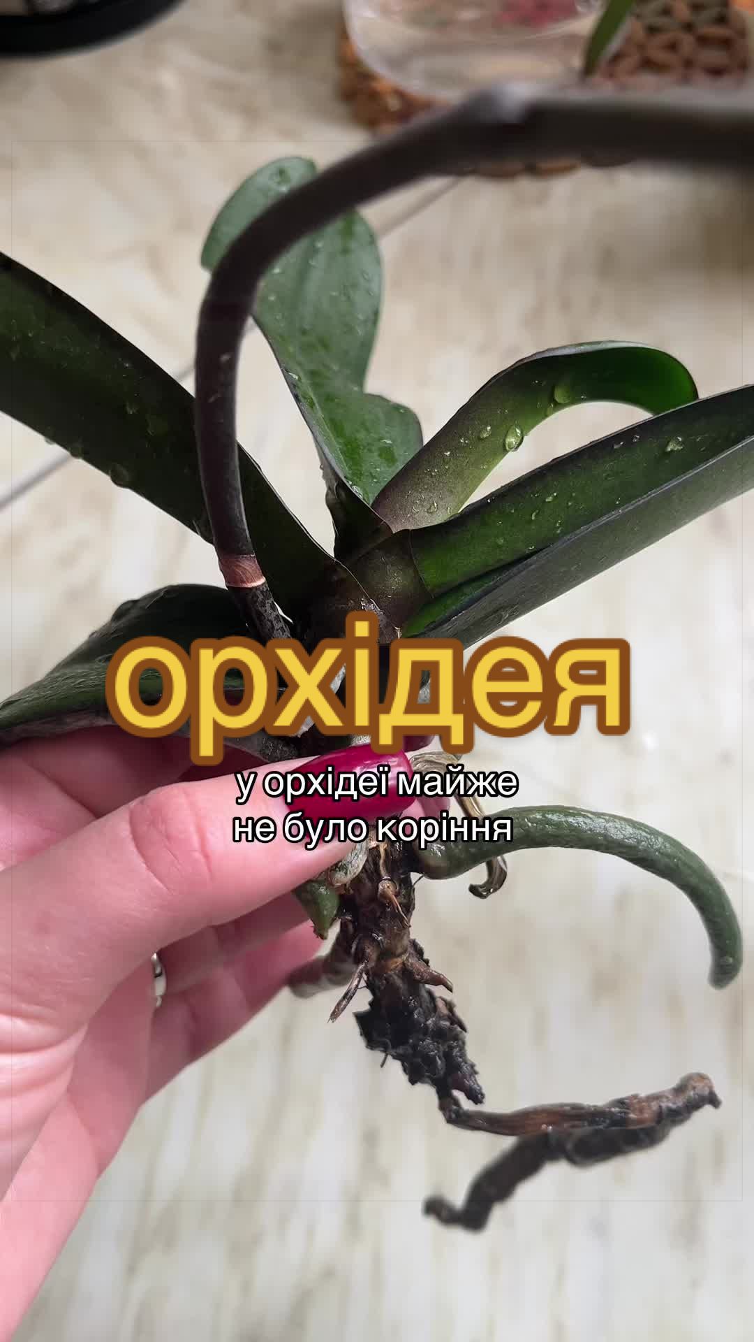 @🧚леся🧚