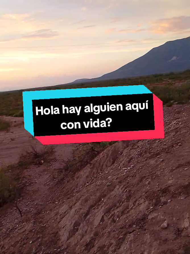 @La profe chida