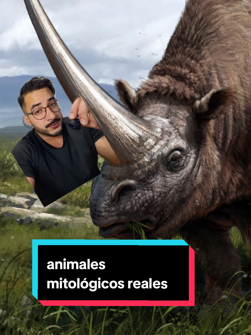 @nolosejose