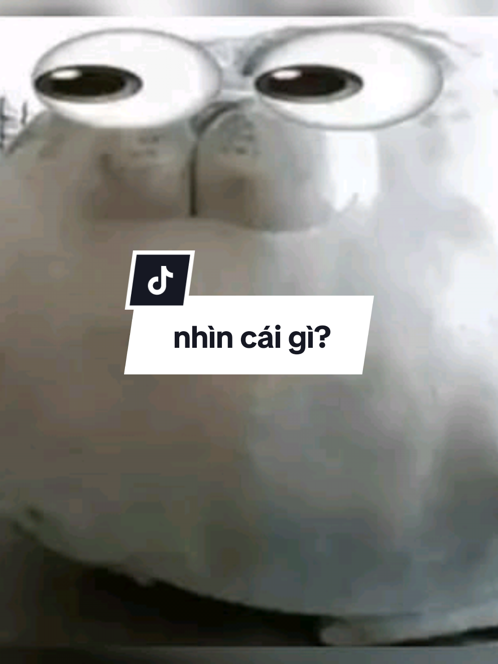 @fautuhf(GDVN)