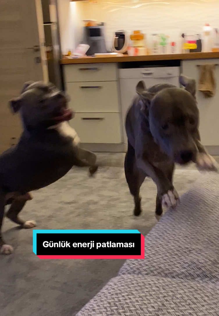 @Gizem  Sımsıkı