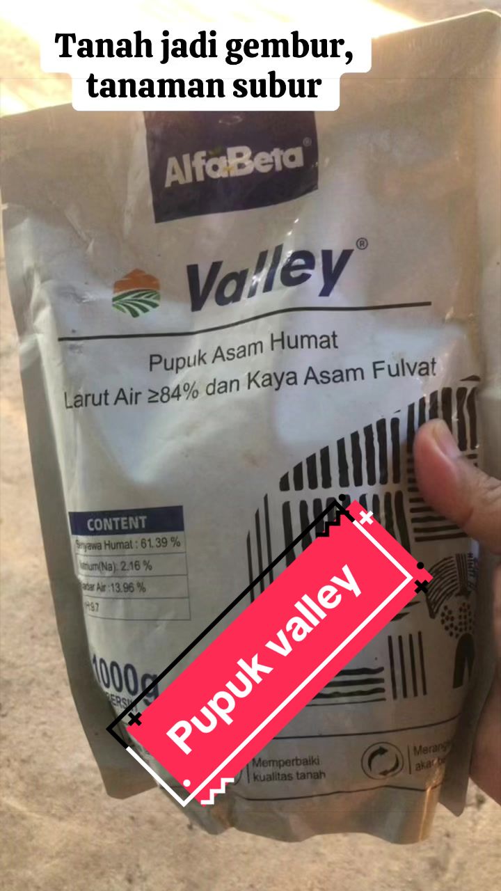 @KUD TANI