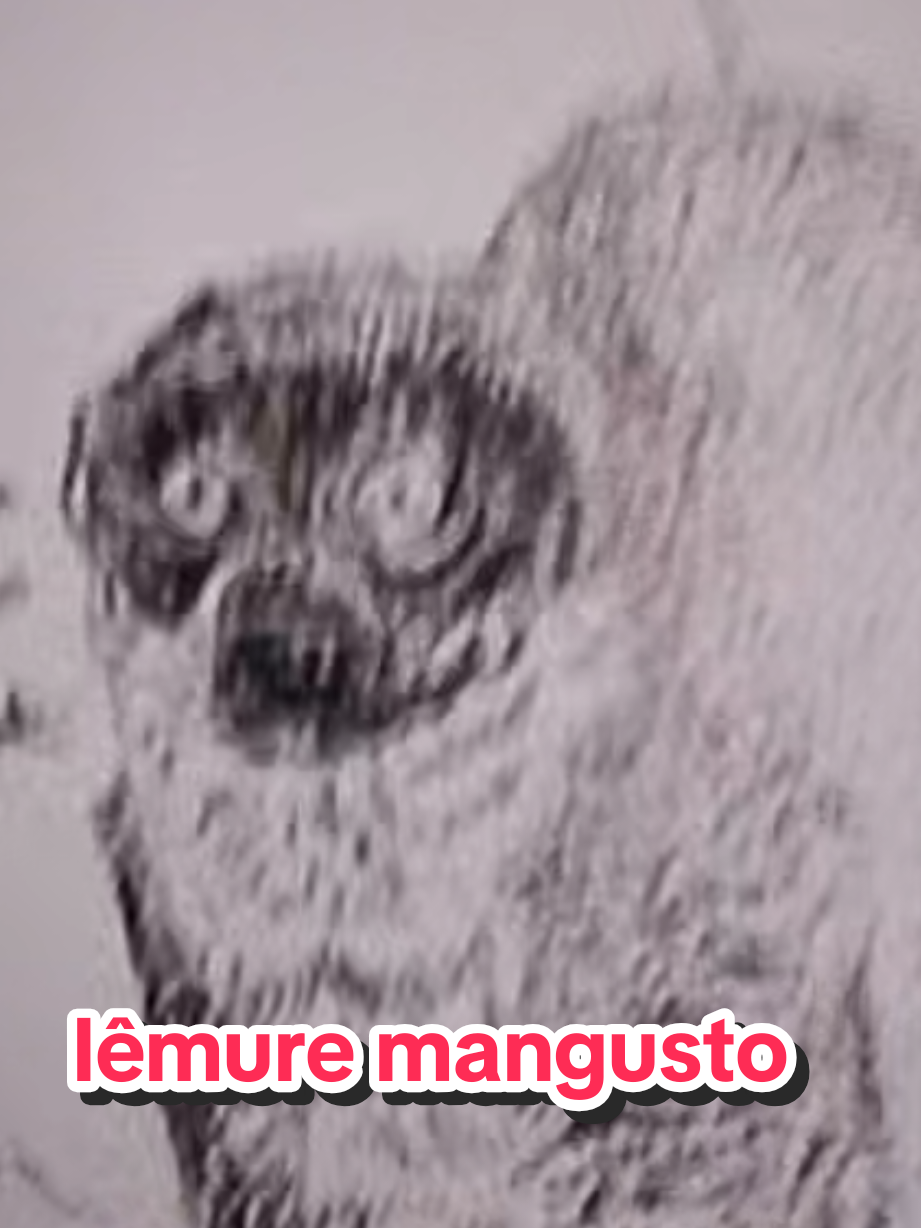@Afonso Henrique