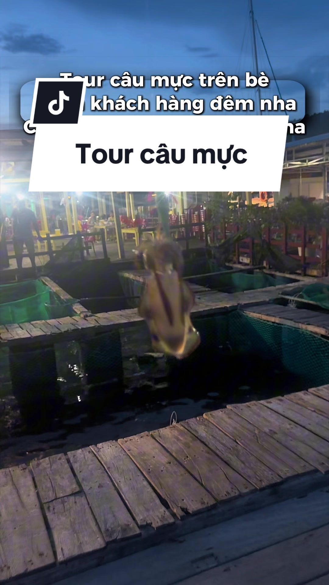 @Duy Tour Câu Cá Câu Mực NTrang
