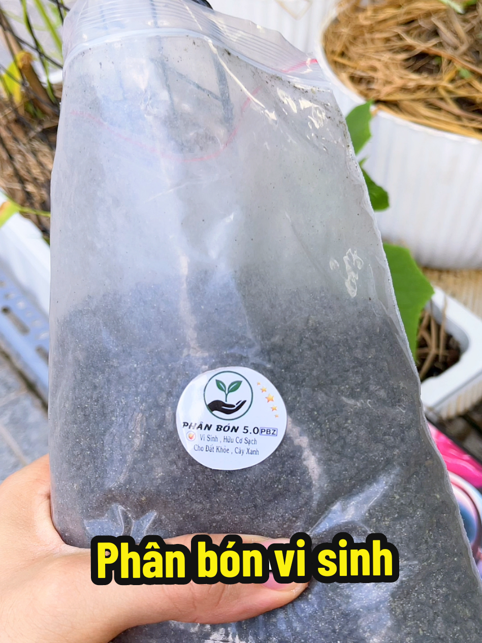 @N&agrave;ng Gốm Shop ✅