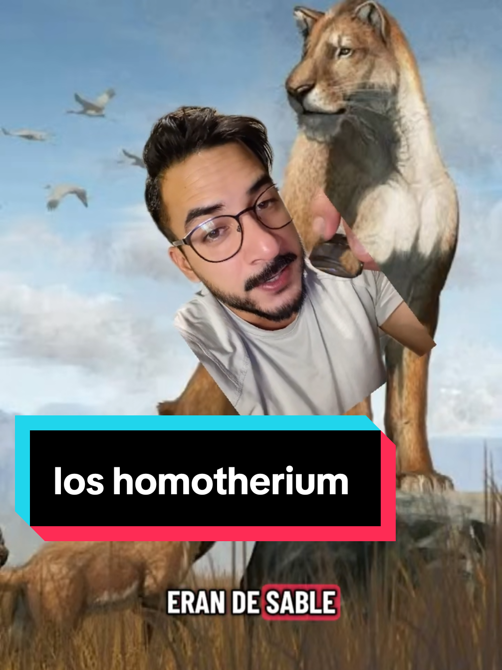 @nolosejose