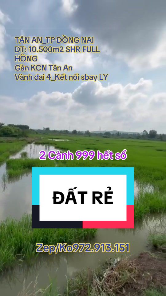 @💞 Nguyễn Cường🇻🇳