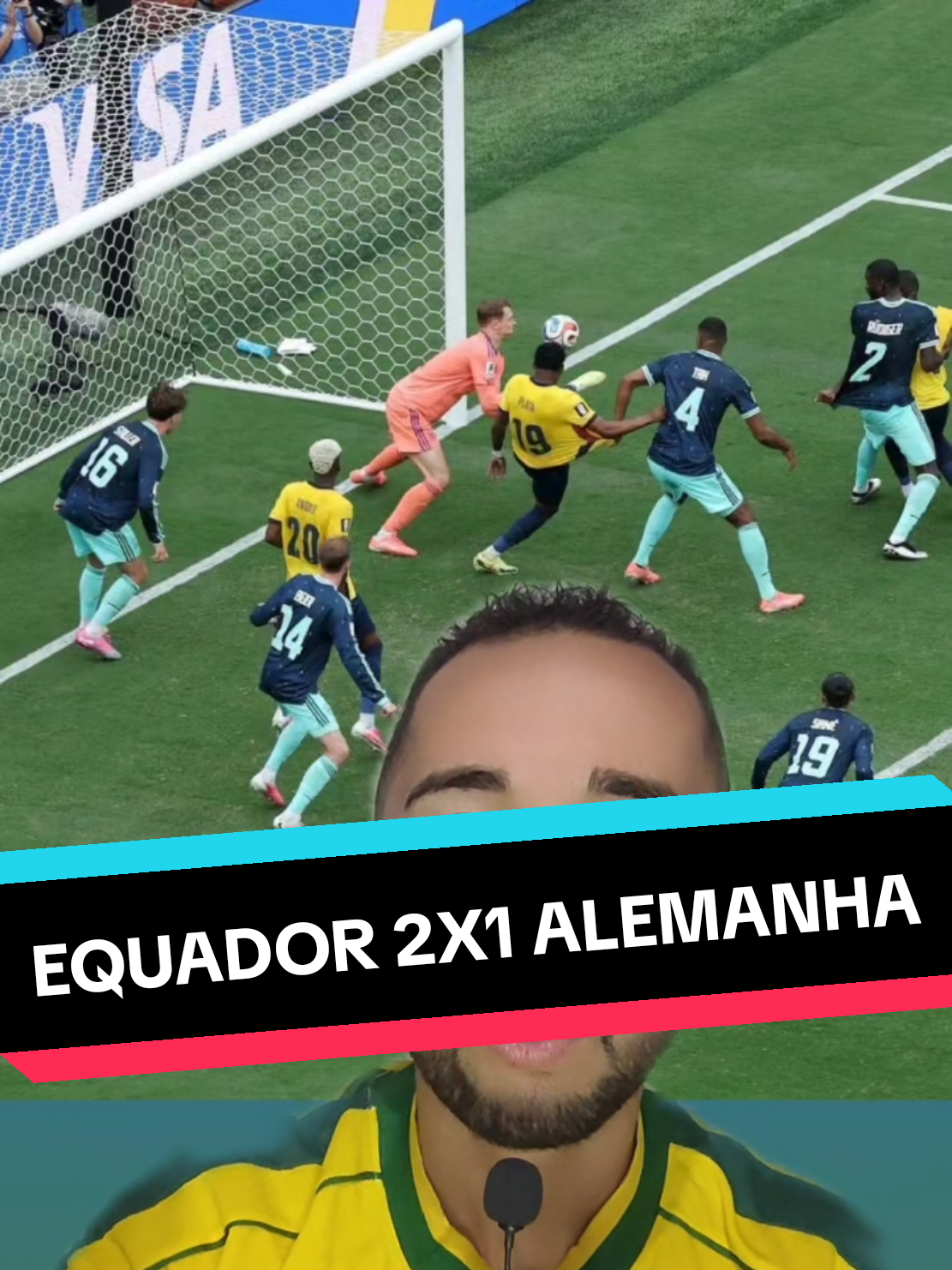 @analistaleigo