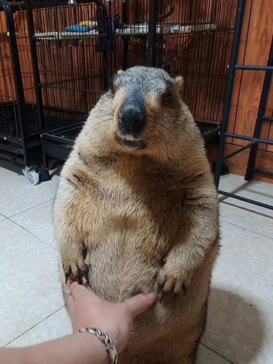 @YêuYêu