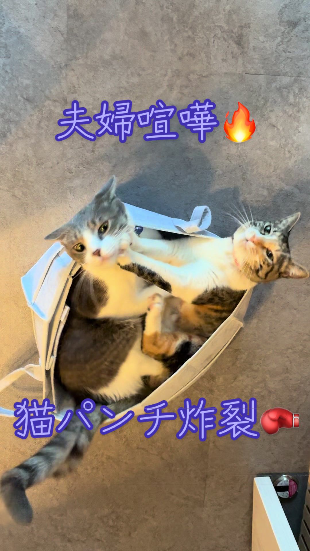 @はっぴー野郎☺︎