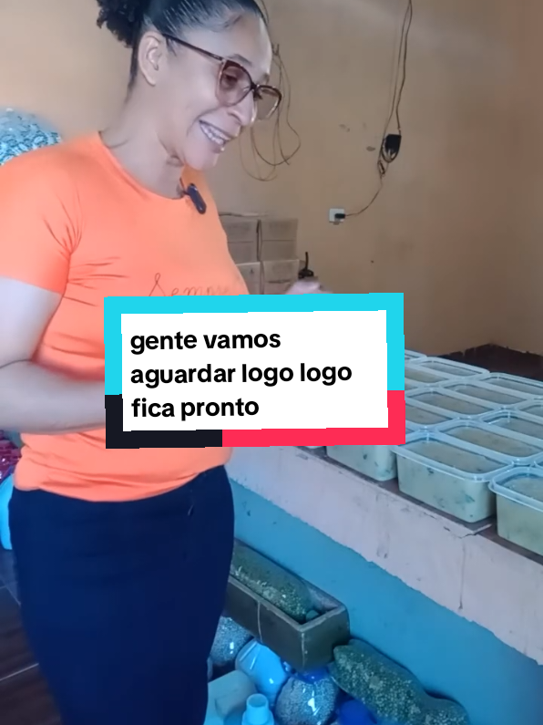 @SOLANGE RIBEIRO OFICIAL