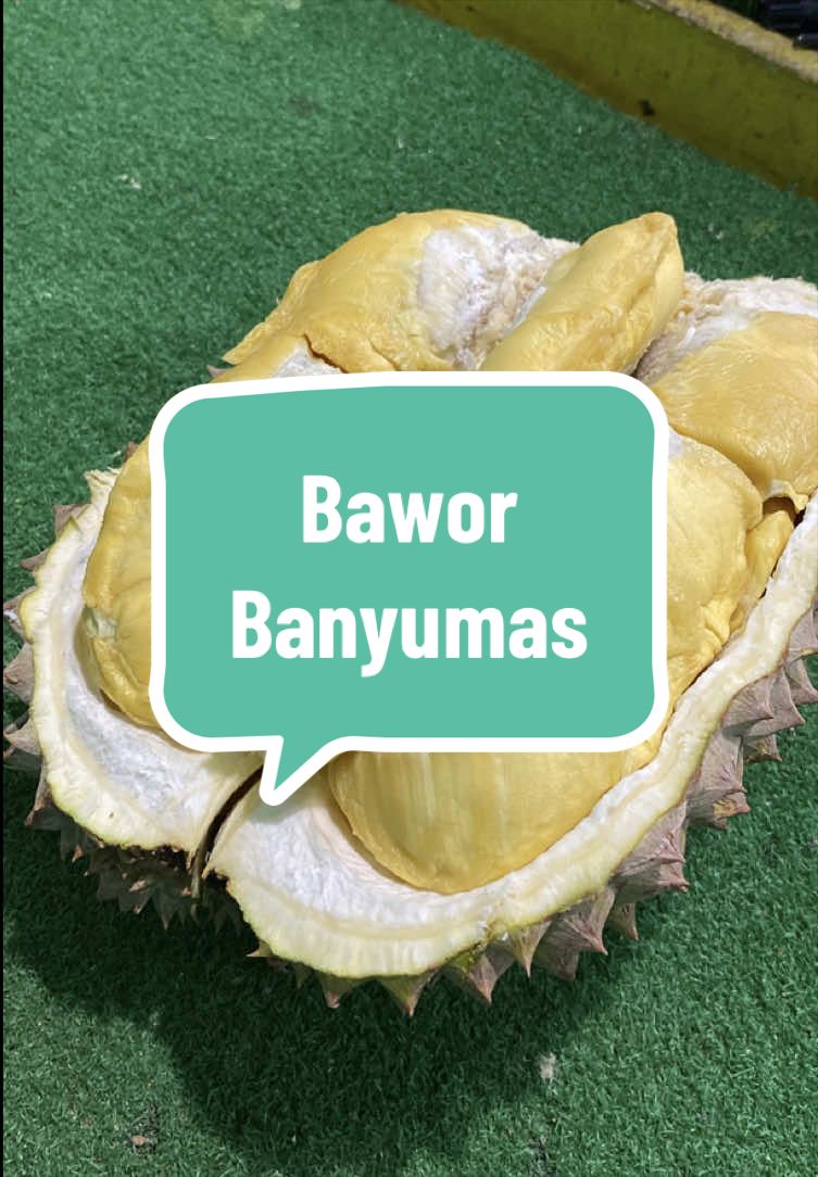 @Rumah Tamma Durian