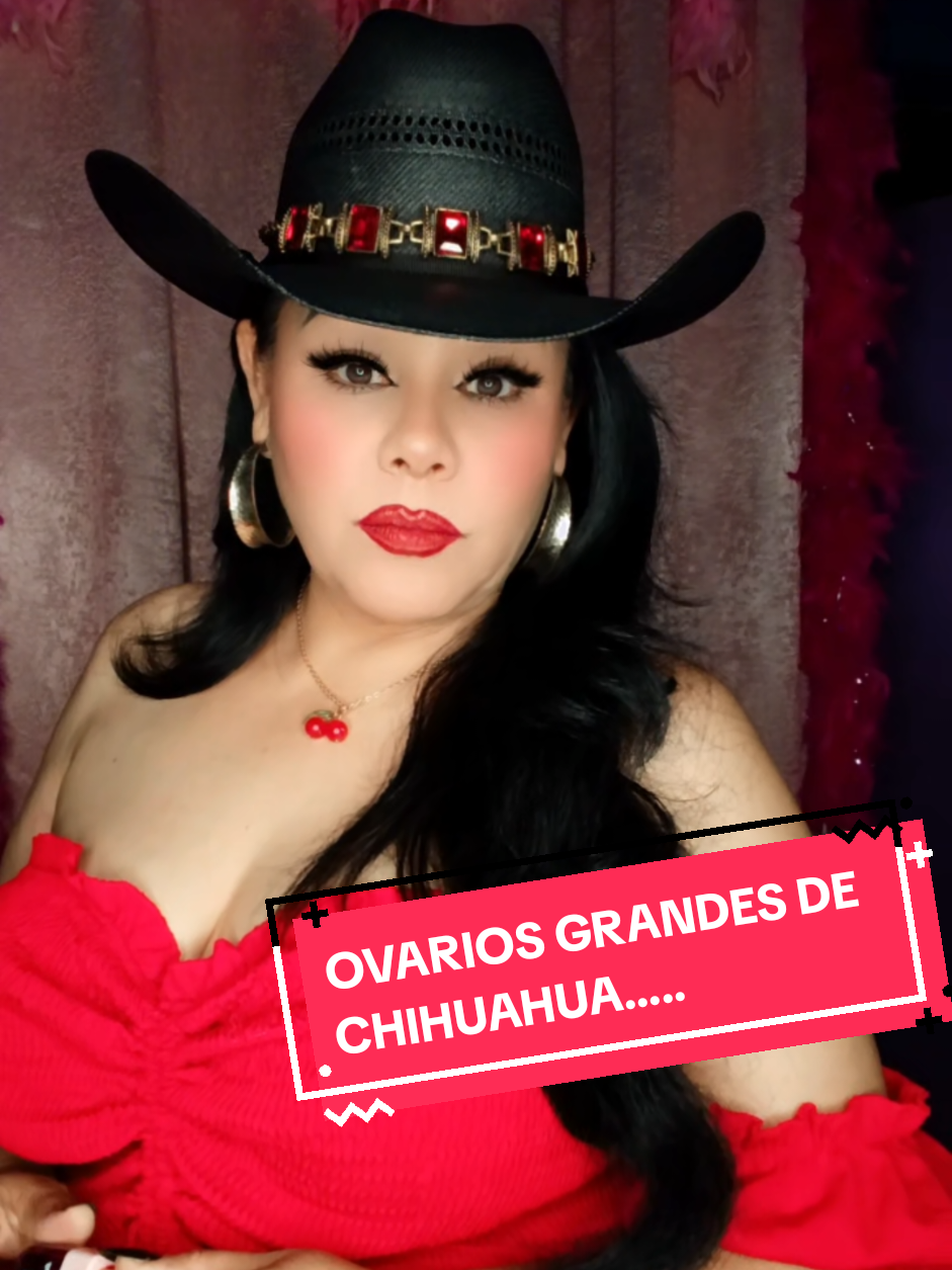 @La.prima.de.chihuahua.